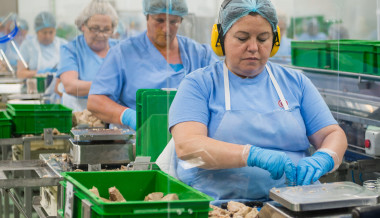 Grupo Consorcio – Un trabajo para manos expertas