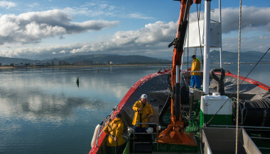 Grupo Consorcio – Pesca sostenible