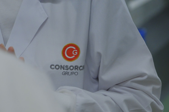 GRUPO CONSORCIO